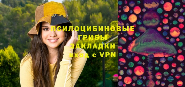 скорость Каменка
