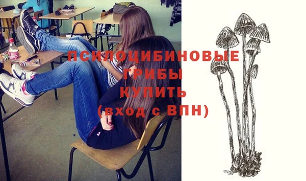 амфетамин Каменногорск