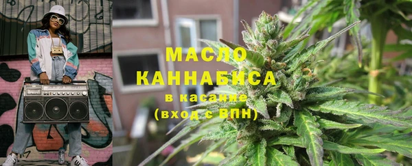 скорость Каменка