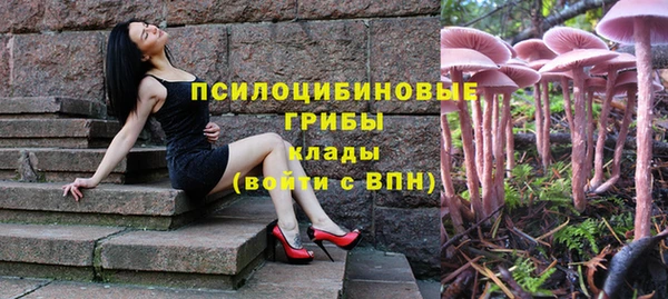 скорость Каменка